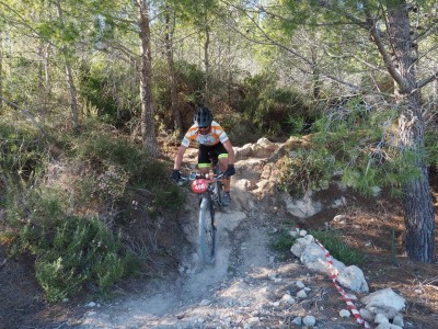 David  Altet Rodriguez