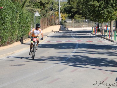 David  Altet Rodriguez