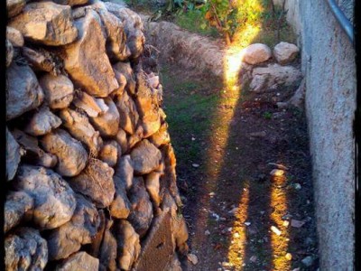 David  Altet Rodriguez