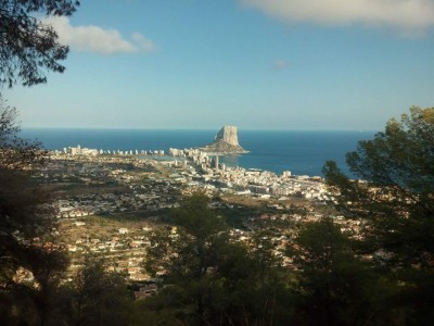 David  Altet Rodriguez