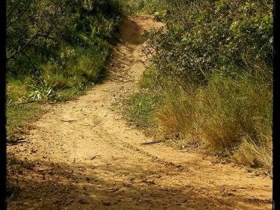 David  Altet Rodriguez