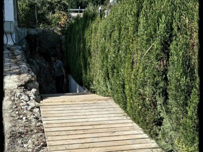 David  Altet Rodriguez