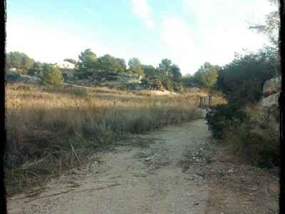 David  Altet Rodriguez