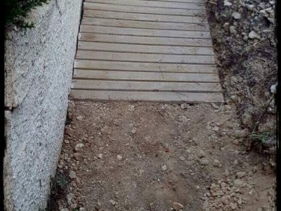 David  Altet Rodriguez