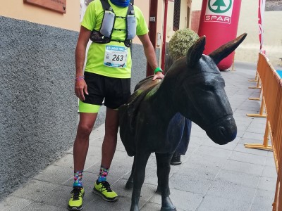 MISAEL GODOY GONZALEZ