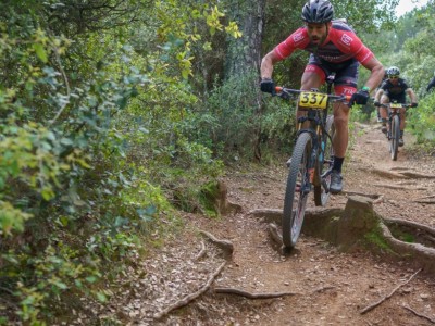 Ismael Suárez-Varela