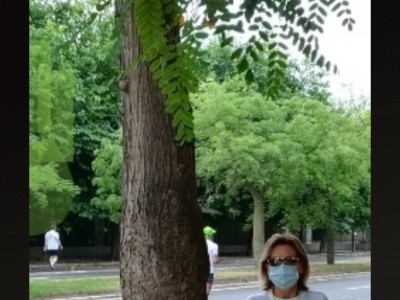 M CARMEN LLOP DOMINGO