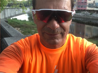 XAVIER AVELLANA REVUELTA