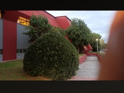 ANTONIO SIMON GABALDON OLMEDO