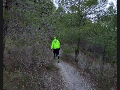 Sebastián Vilar piñero