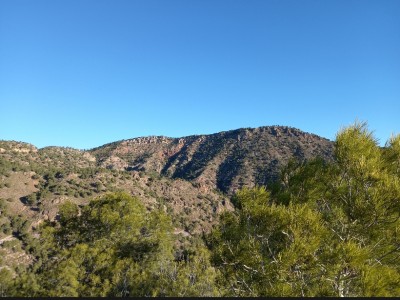 Sebastián Vilar piñero