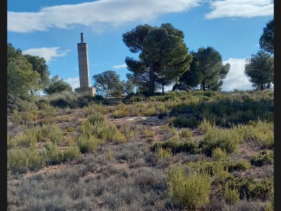 Sebastián Vilar piñero