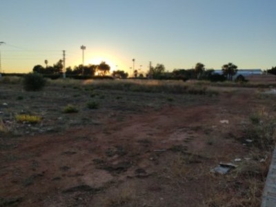 Edgar Correcher Alcocer