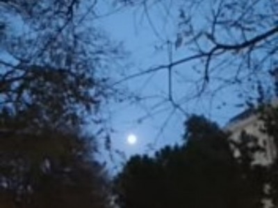 José Francisco Climent