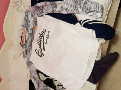 Domingo Javier Vigario Diestro