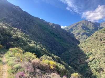 Francisco Javier Blanco García