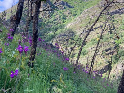 Francisco Javier Blanco García