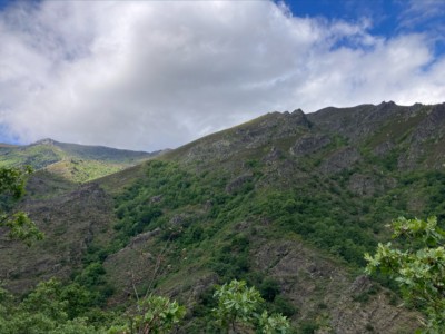 Francisco Javier Blanco García