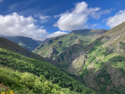 Francisco Javier Blanco García