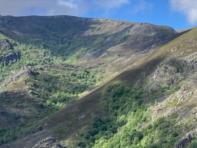 Francisco Javier Blanco García