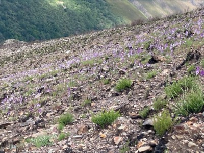 Francisco Javier Blanco García