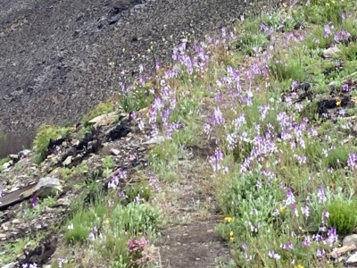 Francisco Javier Blanco García