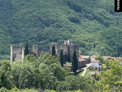 ALBERTO DE LA MORENA LOPEZ