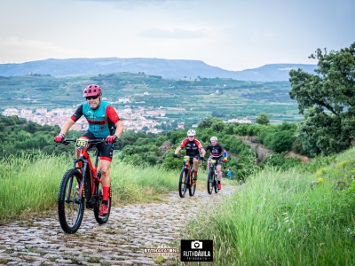 Javier Marques Castillo