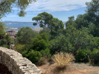 David Thompson Foronda