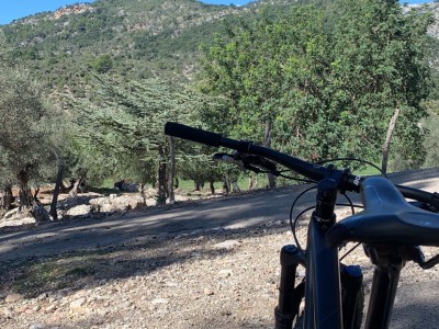 David Thompson Foronda