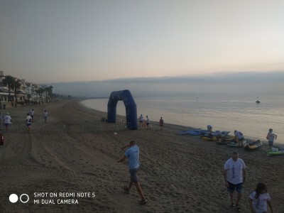 Vicente Barberá Picazo