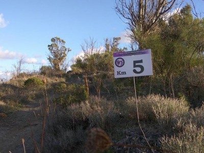 Manuel Alejandro Oca Ibáñez