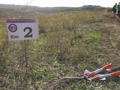 Manuel Alejandro Oca Ibáñez