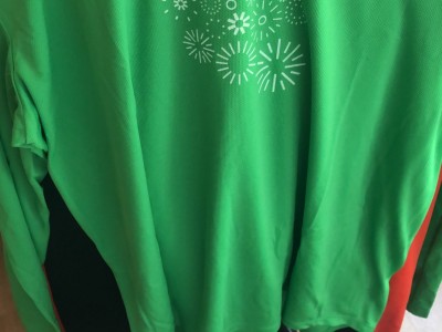 Jaime Manzanera Gómez