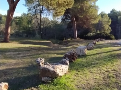 Manuel Gonzalez Camacho