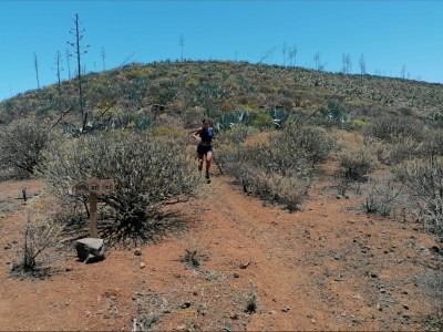 Sandra Moreno Santiago