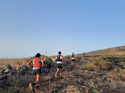 Sandra Moreno Santiago