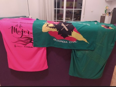 Francisco Javier Soler Soto