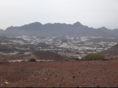 Alejandro Acuña Fernández