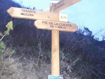 Alejandro Acuña Fernández