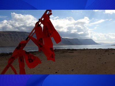 Alejandro Acuña Fernández