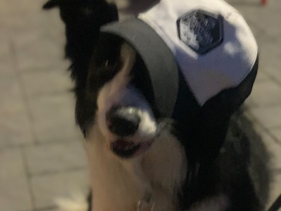 Sergio Menéndez González