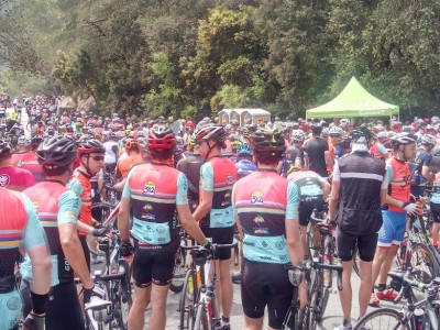 Daniel Llorente Sanchez