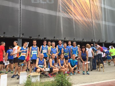 vicent cases navarro