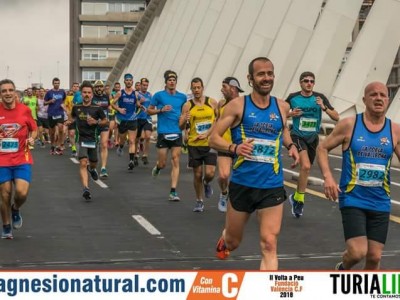 vicent cases navarro