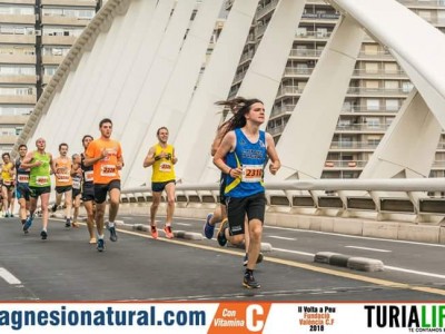 vicent cases navarro