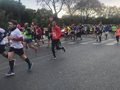 sergio Salmeron cambra