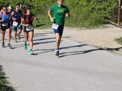 sergio Salmeron cambra