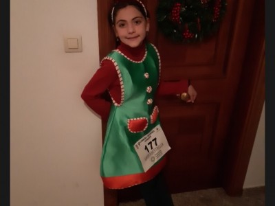 FERNANDO PALOMINO TORRES