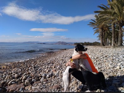 Ester Jiménez Celdran